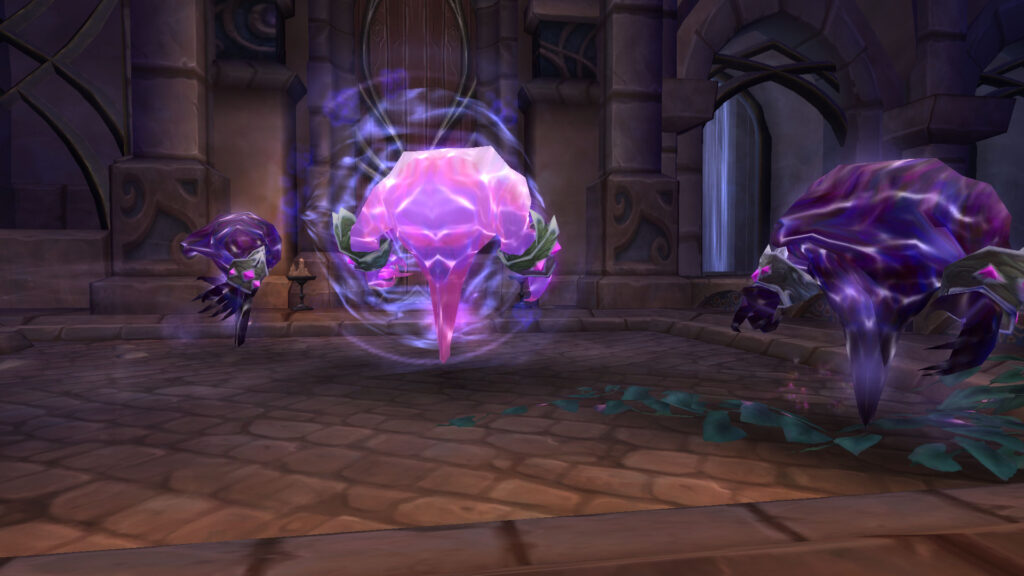 WoW mana elementals in Raid