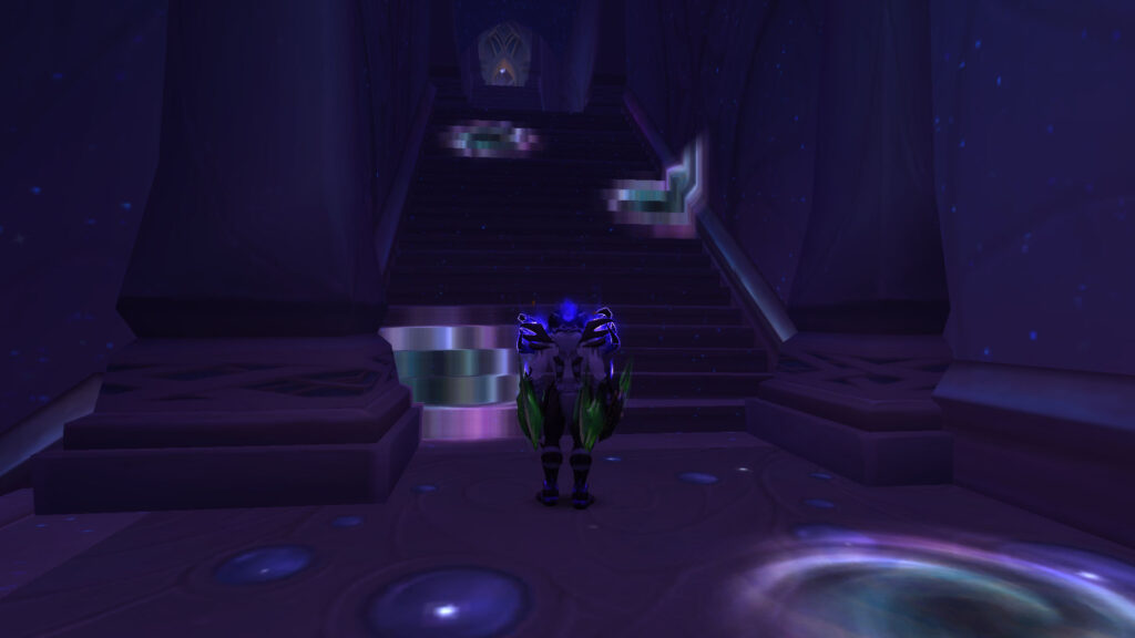 WoW Night Elf in Raid